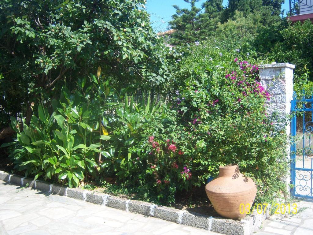 Smile Stella Studios Skopelos Town Room photo